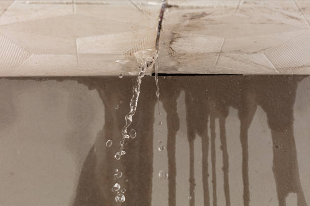 Professional Flood Damage Cleanup technician working in Palestine, TX